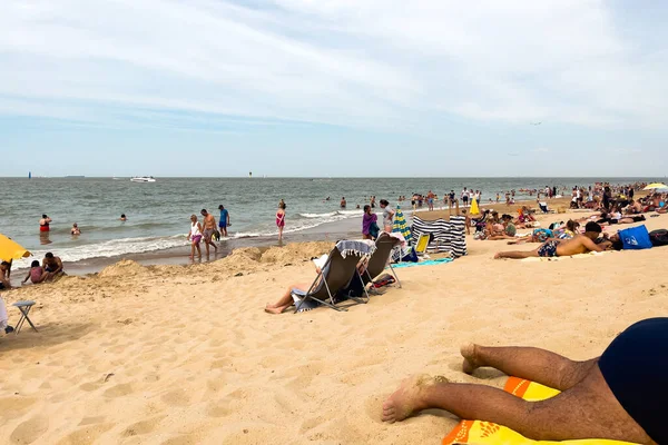 Crowd People Enjoying Summer Knokke Beach — Stock Photo, Image