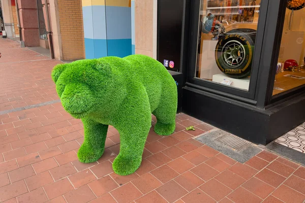 Plastic Bear Statue Installed Entrance Art Gallery Shop — Stok Foto