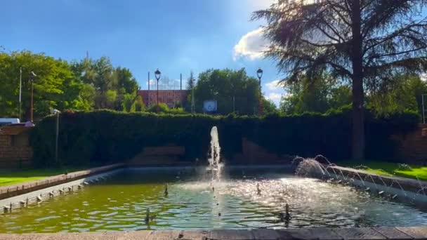 Vista Pov Jardim Leão Ifran — Vídeo de Stock