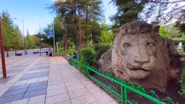 Famosa Estatua Del León Ifran Marruecos — Vídeos de Stock