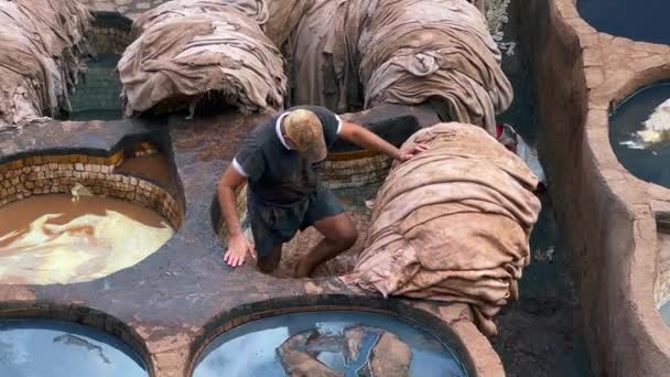 Мужчины Работающие Кожевенном Заводе Чуары Старой Медине Феза — стоковое видео