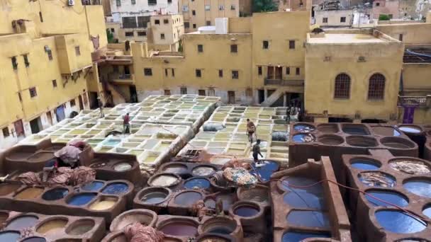 Hombres Trabajando Curtiduría Chouara Antigua Medina Fez — Vídeos de Stock