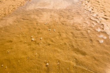 Kıyıdaki küçük su birikintisi