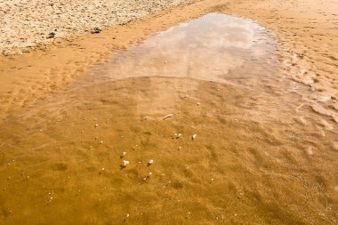 Kıyıdaki küçük su birikintisi