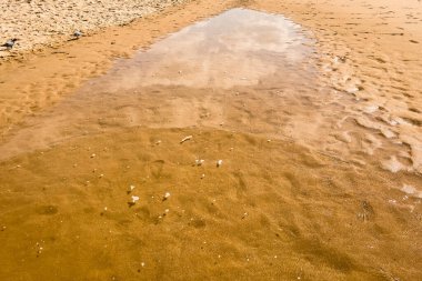 Kıyıdaki küçük su birikintisi