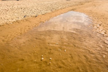 Kıyıdaki küçük su birikintisi