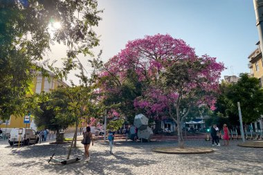 İnsanlar Lizbon 'daki Campos Das Cebolas parkında takılıyor.