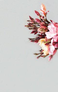 Çok güzel bir buket pembe ve kremalı zakkum çiçeği. Sağ tarafında bir sürü kapalı tomurcuk var. Arka planda hafif bir arkaplan var. 