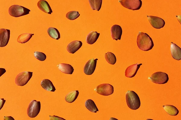 Hintergrund Rote Und Grüne Kleine Blätter Auf Orangefarbenem Hintergrund — Stockfoto