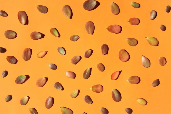 Hintergrund Rote Und Grüne Kleine Blätter Auf Orangefarbenem Hintergrund — Stockfoto