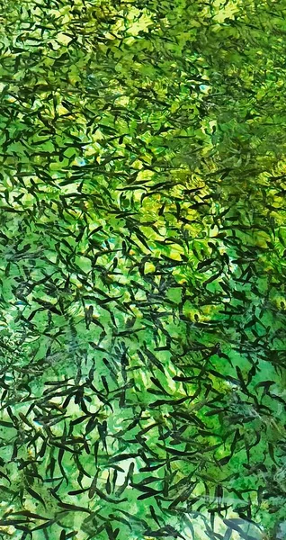 Fond Abstrait Beaucoup Petits Poissons Noirs Dans Les Eaux Vives — Photo