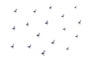 Beyaz arka planda birçok martı, yaratıcı arka plan, doğa