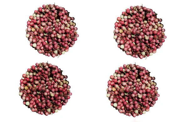 Vier Identische Kreise Aus Runden Rosa Pfefferbeeren Auf Weißem Hintergrund — Stockfoto