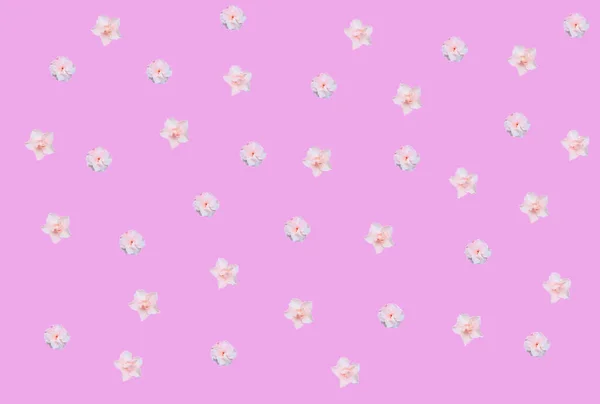 Цветочный Фон Много Небольших Светло Розовых Цветов Ярко Розовом Фоне — стоковое фото