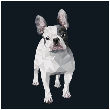 Çokgen biçim çizimi. Fransız Bulldog.