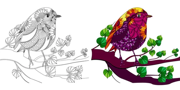 Kolorowanki Dla Dorosłych Antystres Rysunek Ptaka Gałęzi Drzewa — Wektor stockowy