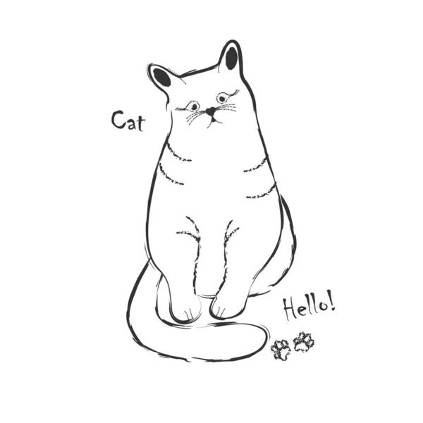 Angry Cat Drawing Stock Illustration - Download Image Now