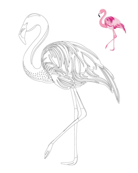 Flamingo Coloring Page Stress Coloring Book Adults Children Template — стоковый вектор