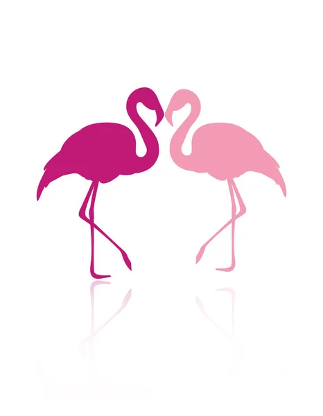 Flamingo Silhouette Reflection Flamingo Couple Isolated White Background — стоковый вектор