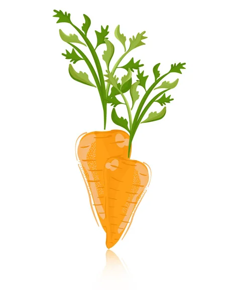 Vector Illustration Carrot Isolated White Background — Stock Vector