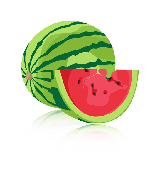 Wassermelone Isoliert Auf Weißem Hintergrund Vektorillustration Für Druck Lebensmittel Geschäfte — Stockvektor