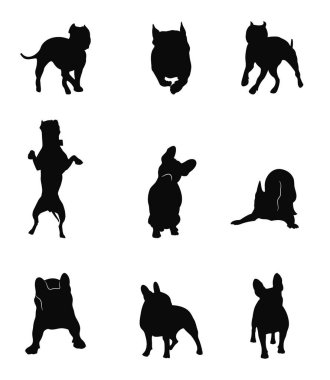 Dövüş köpeklerinin siluetleri farklı pozisyonlarda. Emirler otur, uzan, bebek, oyna, koş. Amerikan Staffordshire Teriyeri, Pitbull ve Fransız Bulldog. Ayarla.