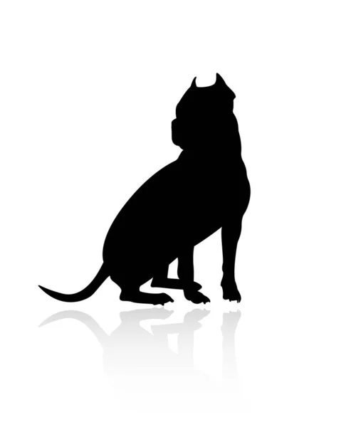 Dog Silhouette Reflection American Staffordshire Terrier Pitbull Isolated White Background — Stock Vector