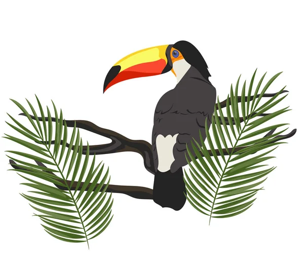 Toucan Branch Palm Leaves Isolated White Background — Stockový vektor