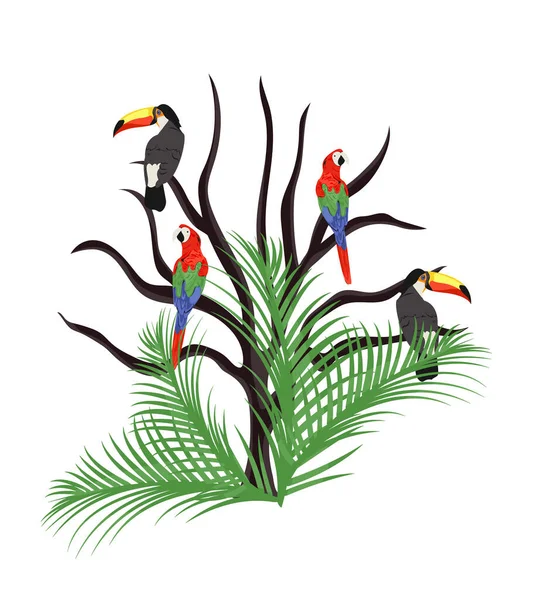 Попугаи Туканы Дереве Пальмовыми Листьями Изолированный Белом Фоне Авиарий — стоковый вектор