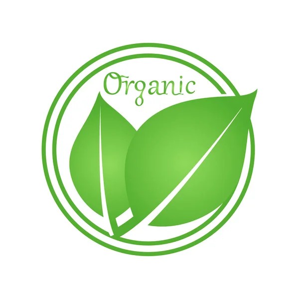 Inscription Organic Leaves Use Natural Products Cosmetics Organic Food Medicine Illustrazione Stock