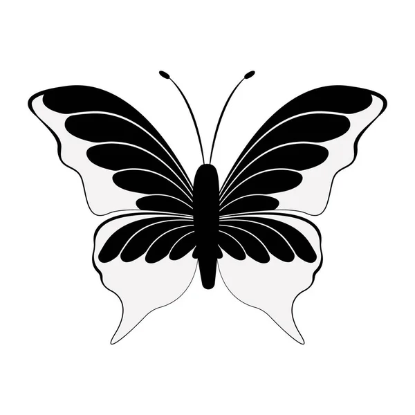 Vector Illustration Decorative Butterfly Black White Silhouette Butterfly Isolated White — Stock vektor