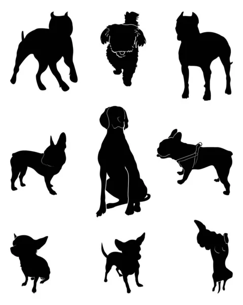 Набор Силуэтов Собак Разные Породы Собак Позициях Веймаранер Мальтиец Питбуль — стоковый вектор