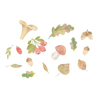 15 parçanın yaratıcılığı ve tasarımı için sonbahar suluboya seti