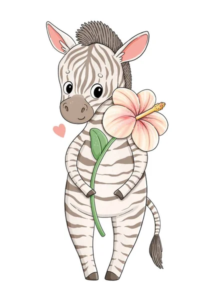 Draguta Zebra Mica Floare Roz Mare Această Ilustrație Este Perfectă — Fotografie, imagine de stoc