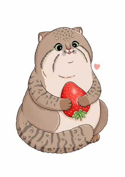 Mignon petit manul, chat à la fraise rouge — Photo