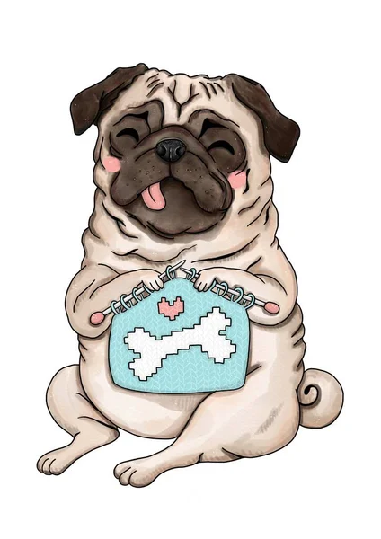 Χαριτωμένο σκυλί - pug πλέξιμο κουβέρτα με κόκκαλο — Φωτογραφία Αρχείου