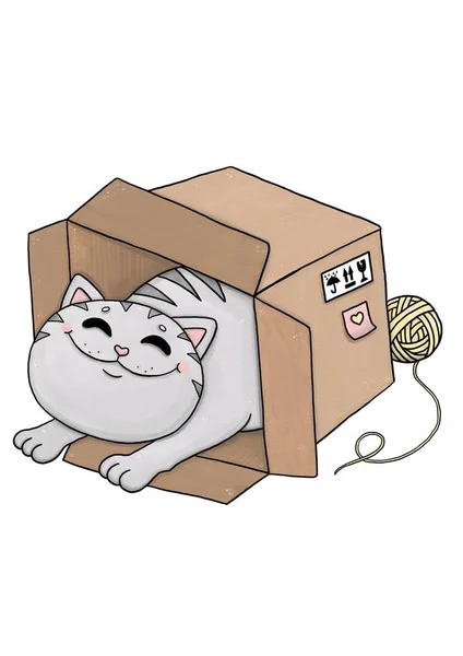 Śmieszny szary kot w kartonowym pudełku — Zdjęcie stockowe