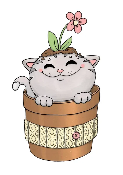 Chat gris drôle en pot de fleurs avec fleur — Photo
