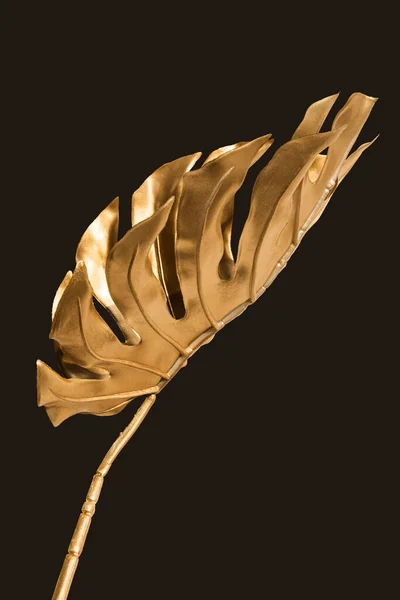 Złoty Liść Tropikalny Brązowym Tle Elementy Dekoracyjne Zaproszeń Kartki Ślubne — Zdjęcie stockowe