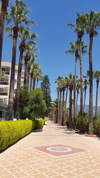 Marmaris Türkiye 'de güzel deniz