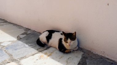 Resimli ve büyüleyici Santorini adası.