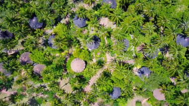 Ormanın güzel manzarası