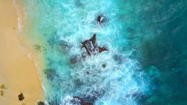 Antenn Utsikt Över Vacker Tropisk Strand Med Palmer Och Turkost — Stockfoto