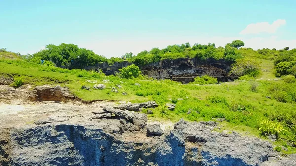 Dağlarda yeşil çimenler