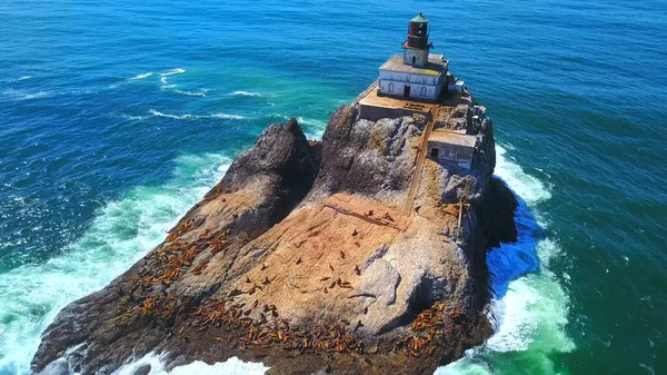 Deniz kıyısının güzel manzarası