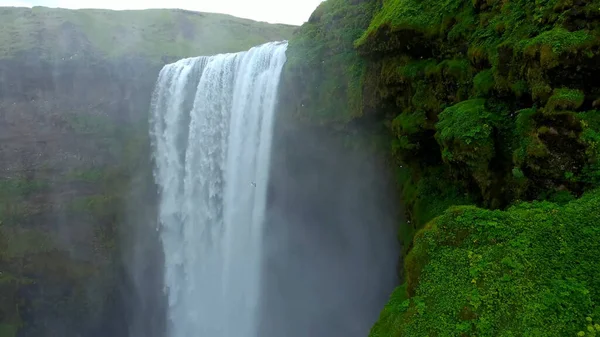 Ormanda güzel bir şelale