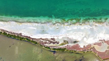 Kumsalın yeşil çimenli havadan görünüşü.