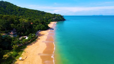 Palmiye ağaçları ve denizi olan güzel tropikal plajlar