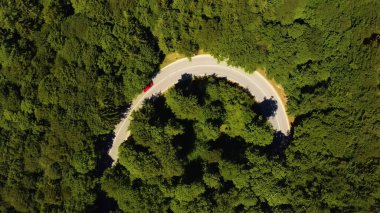 Sabahları ormanın havadan görünüşü