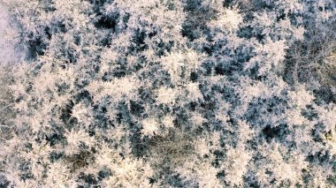 Kar ve buzla soyut arkaplan